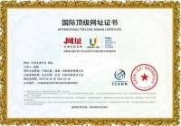 太素疗法诊病优势和治疗原理